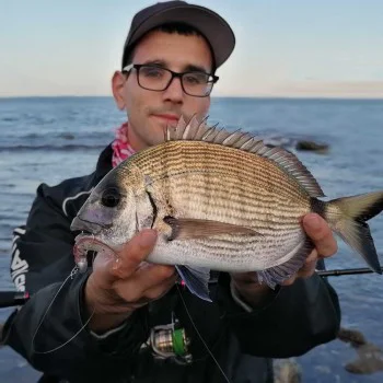 Силиконова примамка FIIISH Black Minnow No4