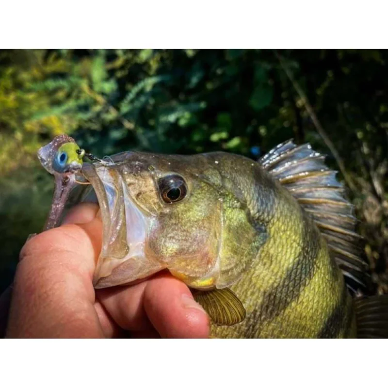 Силиконова примамка FIIISH Black Minnow No1 Combo Jig Head 4.5g - 2 Lure Bodies 7cm