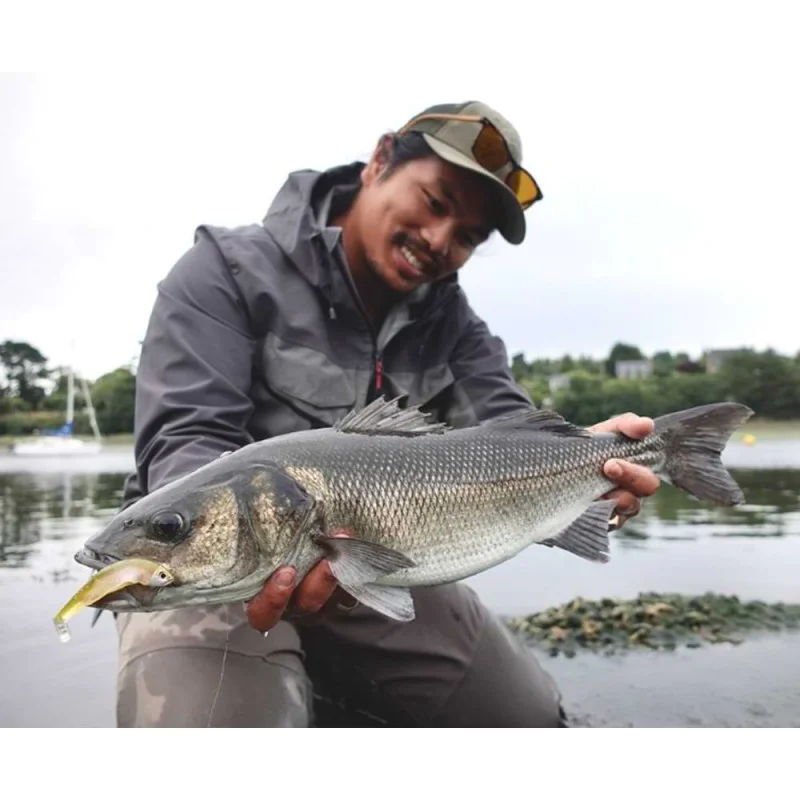 Силиконова примамка FIIISH Black Minnow No2.5 Combo Jig Head 8g - 2 Lure Bodies 10.5cm