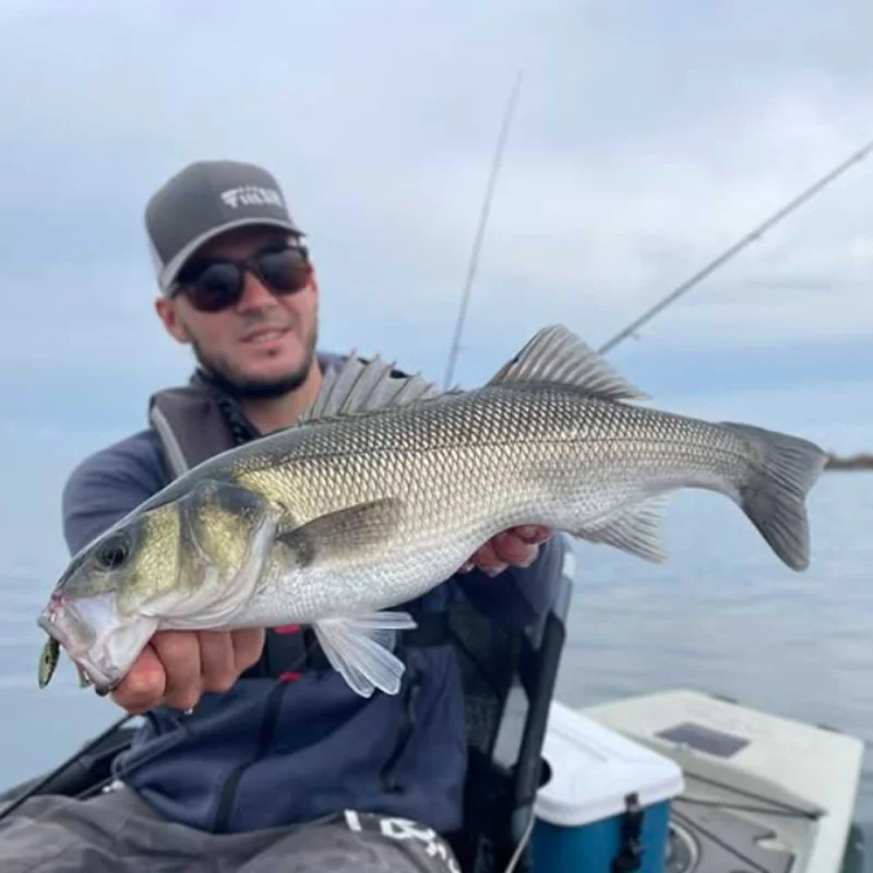 Силиконова примамка FIIISH Black Minnow No2.5 Combo Jig Head 12g - 2 Lure Bodies 10.5cm