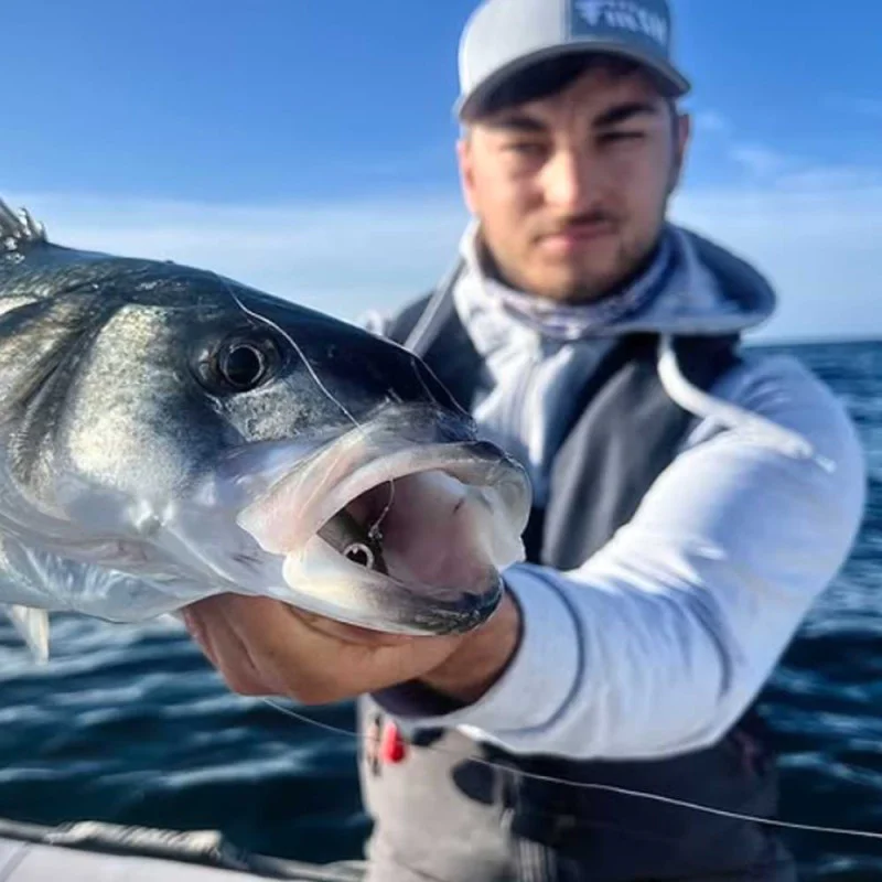 Силиконова примамка FIIISH Black Minnow No2.5 Combo Jig Head 12g - 2 Lure Bodies 10.5cm