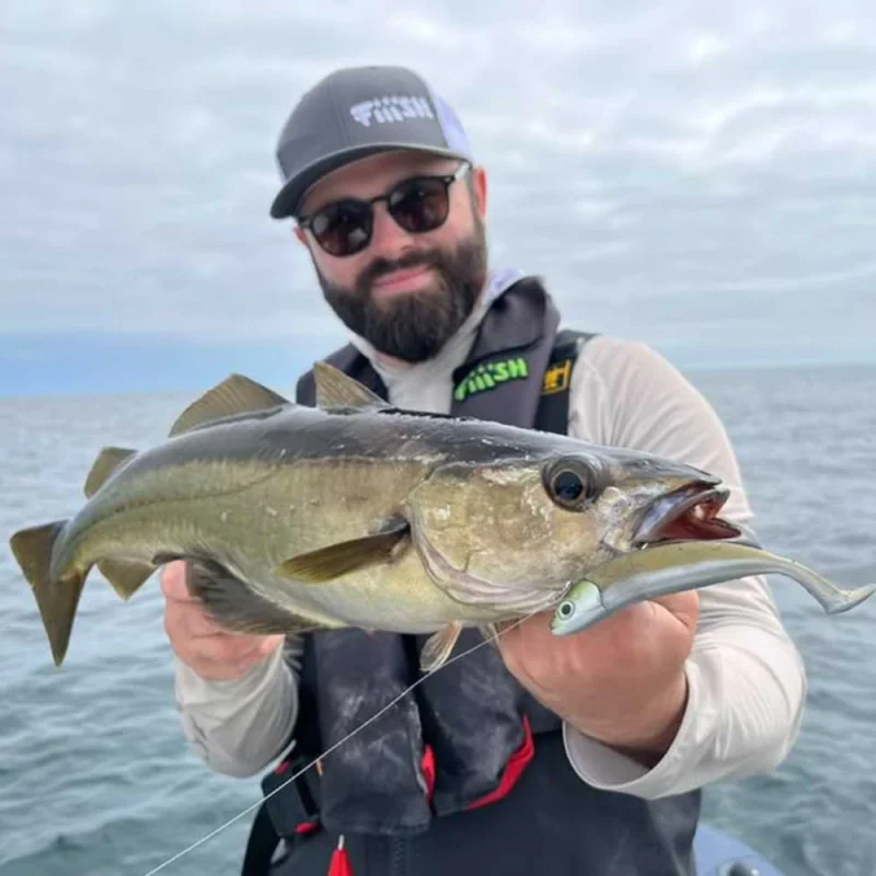 Силиконова примамка FIIISH Black Minnow No2.5 Combo Jig Head 26g - 2 Lure Bodies 10.5cm