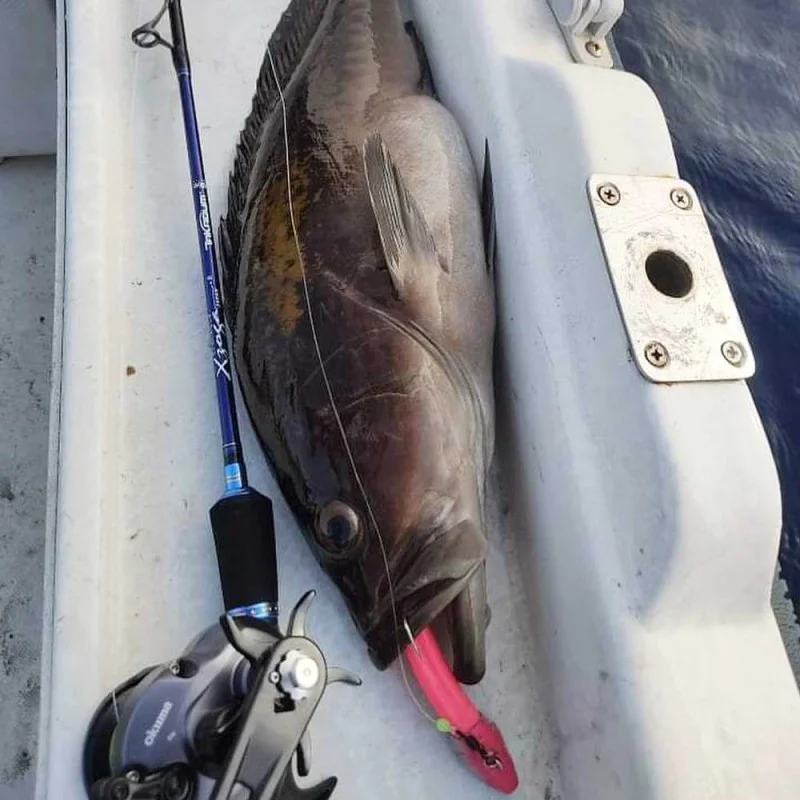 Силиконова примамка FIIISH Black Minnow No5 Combo Jig Head 90g - 2 Lure Bodies 16cm