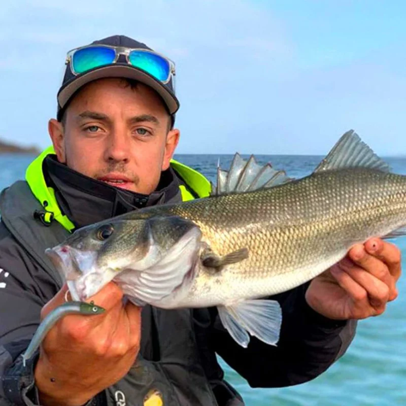 Силиконова примамка FIIISH Crazy Sand Eel No2 Combo Jig Head 20g