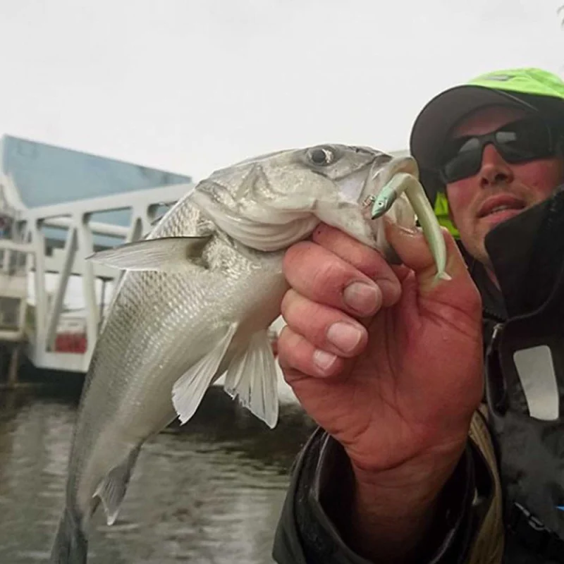 Силиконова примамка FIIISH Crazy Sand Eel No2 Combo Jig Head 20g