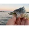 Силиконова примамка FIIISH Mud Digger 65 Combo Light - Jig Head 2g + 2 Lure Bodies 6.5cm