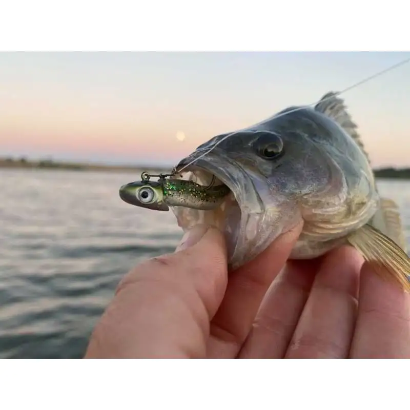 Силиконова примамка FIIISH Mud Digger 65 Combo Light - Jig Head 2g + 2 Lure Bodies 6.5cm