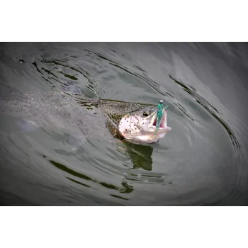 Силиконова примамка FISHUP Diving Bug 2 inch