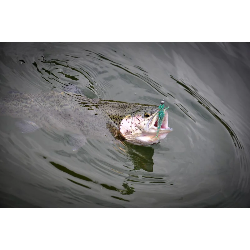 Силиконова примамка FISHUP Diving Bug 2 inch