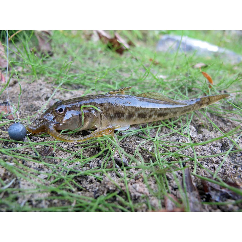 Силиконова примамка FISHUP ARW Worm 2 inch