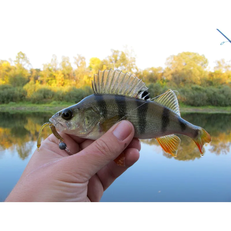 Силиконова примамка FISHUP ARW Worm 2 inch