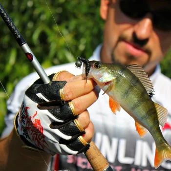 Силиконова примамка FISHUP Tanta 1 inch