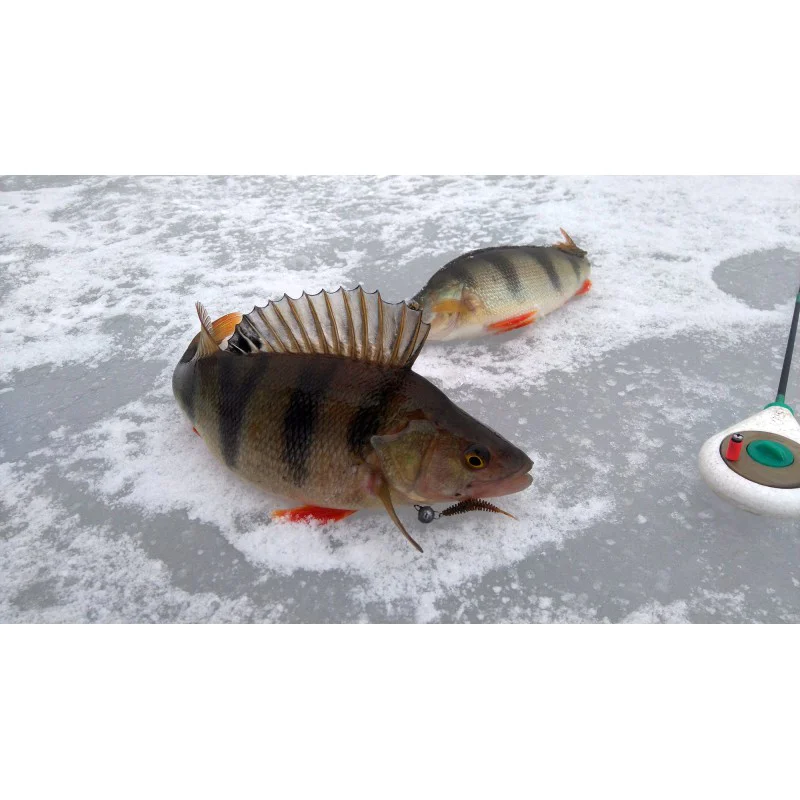 Силиконова примамка FISHUP Tanta 1.5 inch Cheese Taste