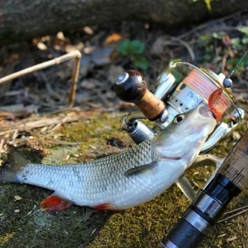 Силиконова примамка FISHUP Fancy Grub 1 inch