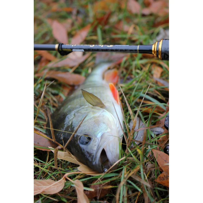 Силиконова примамка FISHUP Fancy Grub 2.5 inch