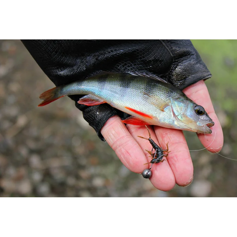 Силиконова примамка FISHUP Stonefly 0.75 inch