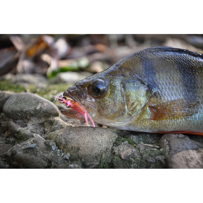 Силиконова примамка FISHUP Stonefly 0.75 inch