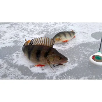 Силиконова примамка FISHUP Tanta 1.3 inch