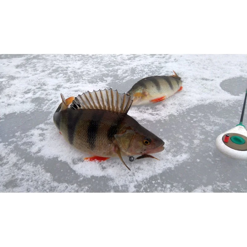 Силиконова примамка FISHUP Tanta 1 inch