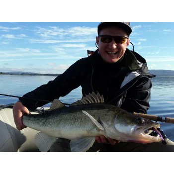 Силиконова примамка FISHUP U-Shad 3 inch