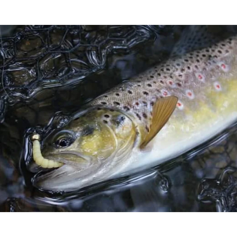 Силиконова примамка FISHUP Morio 1.2 inch Cheese Taste