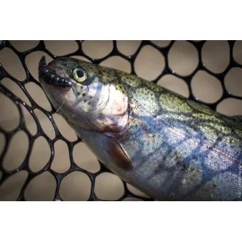 Силиконова примамка FISHUP Yochu 1.7 inch