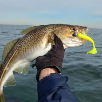 Силиконова примамка FISHUP Mighty Grub 3.5 inch