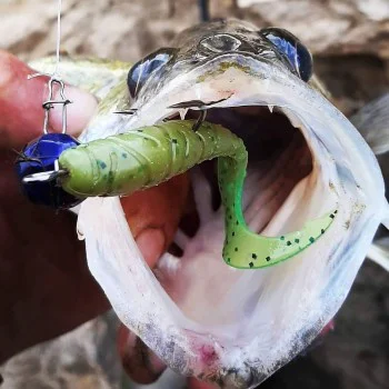 Силиконова примамка FISHUP Mighty Grub 4.5 inch