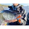 Силиконова примамка FISHUP Wizzle Shad 5 inch