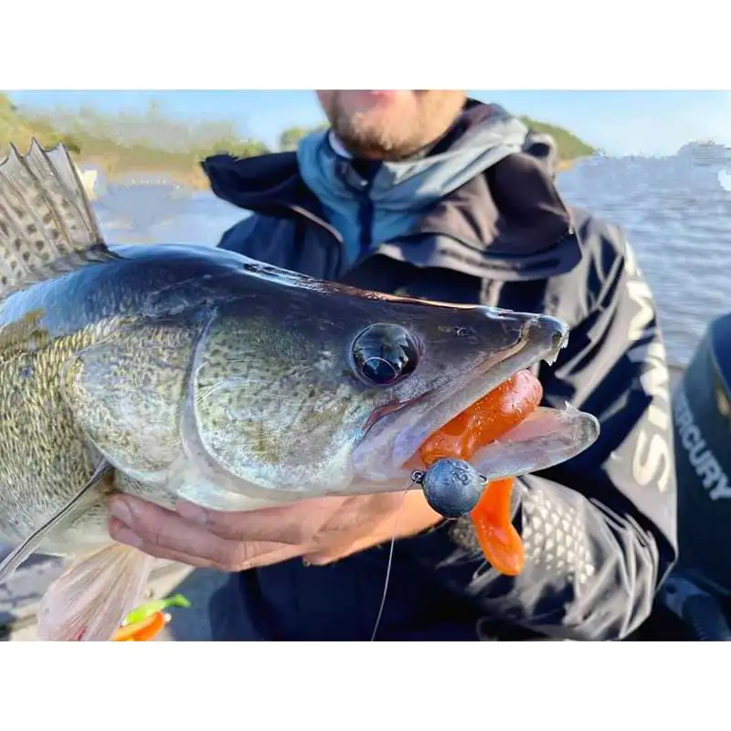 Силиконова примамка FISHUP Wizzle Shad 5 inch