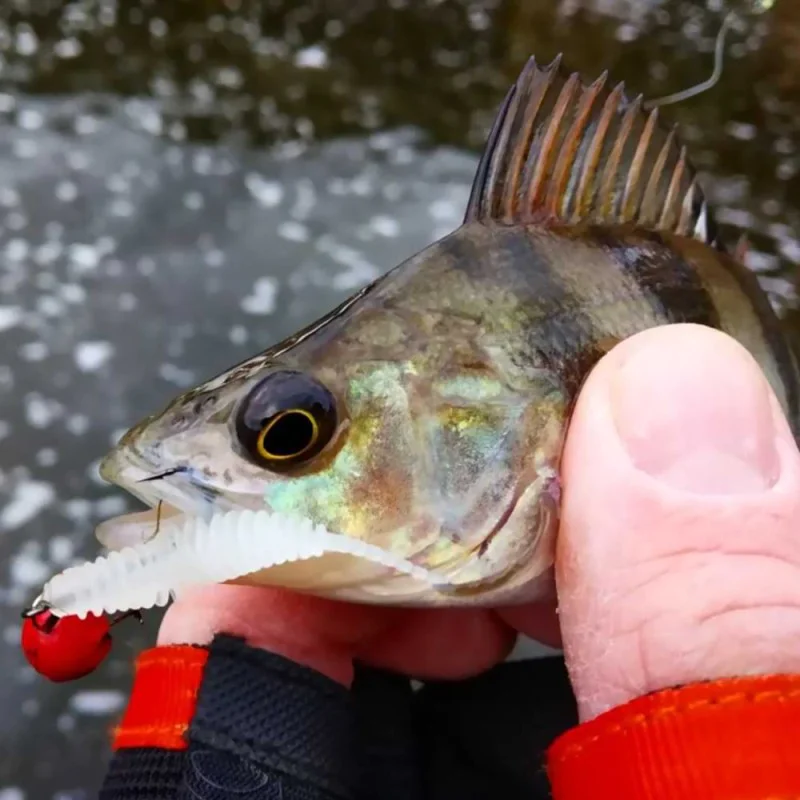 Силиконова примамка FISHUP Aji Tanta 1.3 inch