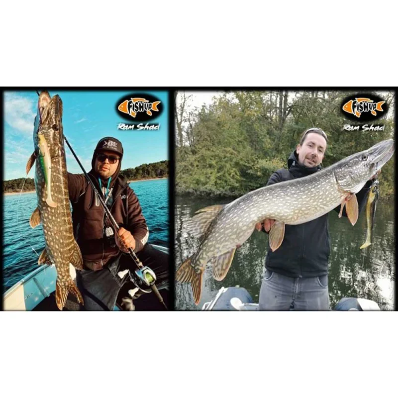 Силиконова примамка FISHUP RAM Shad 8 inch 20cm 70g