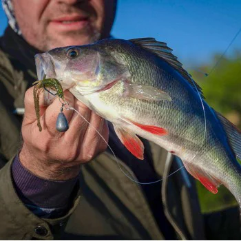 Силиконова примамка FISHUP Shrimp 4.5 inch