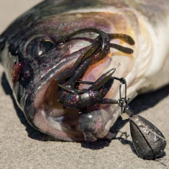 Силиконова примамка FISHUP Shrimp 3 inch