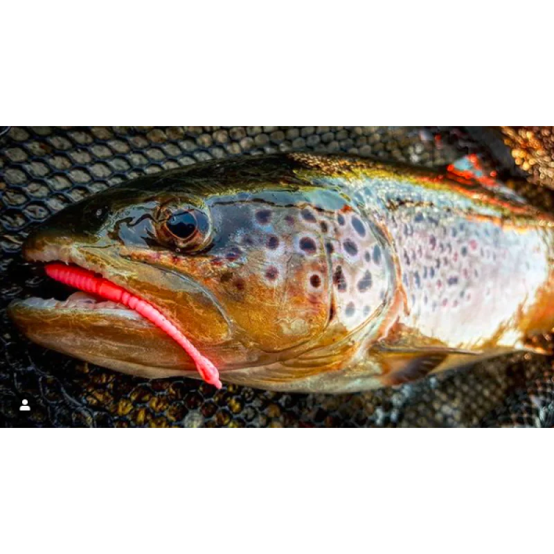 Силиконова примамка FISHUP ARW Worm 2 inch