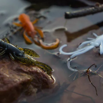 Силиконова примамка FISHUP Baffi Fly 1.5 inch Cheese Taste