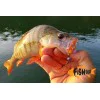 Силиконова примамка FISHUP Baffi Fly 1.5 inch