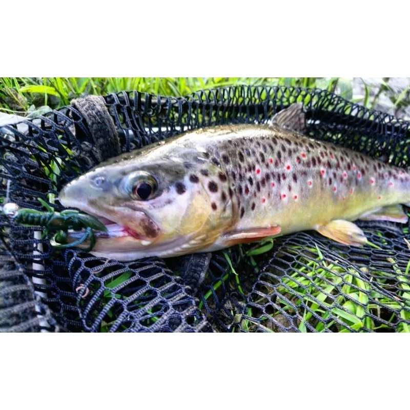 Силиконова примамка FISHUP Baffi Fly 1.5 inch Cheese Taste