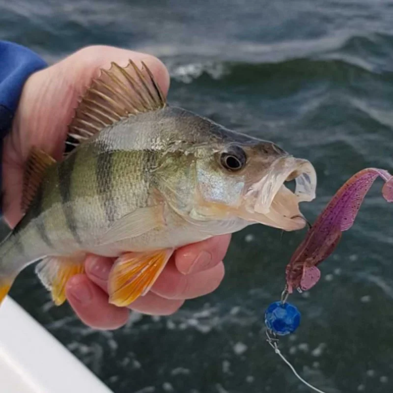 Силиконова примамка FISHUP Catfish 3 inch