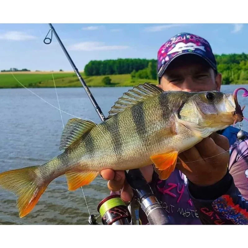 Силиконова примамка FISHUP Catfish 3 inch