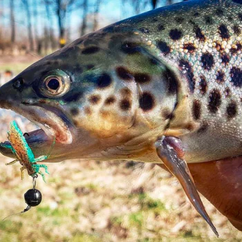 Силиконова примамка FISHUP Dragonfly 1.2 inch