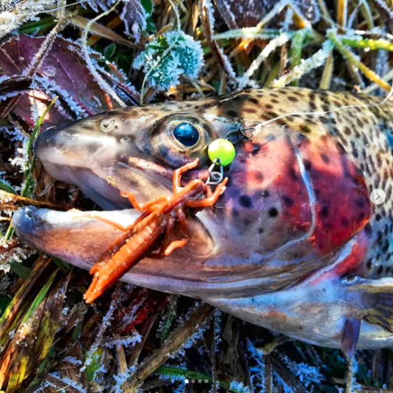 Силиконова примамка FISHUP Dragonfly 1.7 inch