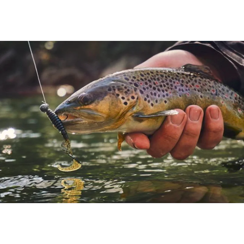 Силиконова примамка FISHUP Fancy Grub 2.5 inch