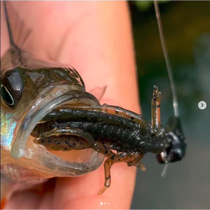 Силиконова примамка FISHUP Dragonfly 1.7 inch