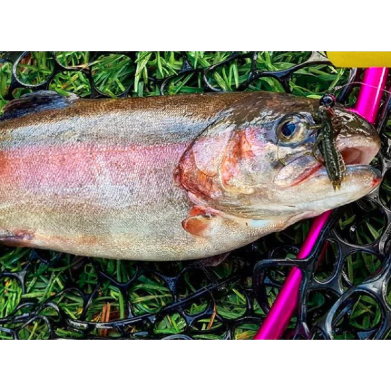 Силиконова примамка FISHUP Dragonfly 1.7 inch