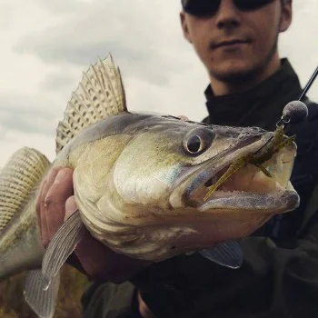 Силиконова примамка FISHUP Flit 4 inch