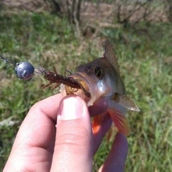 Силиконова примамка FISHUP Flit 1,5 inch