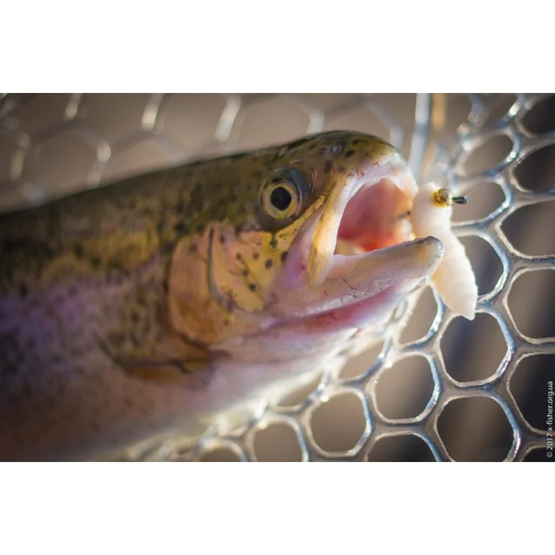 Силиконова примамка FISHUP Pupa 0.9 inch