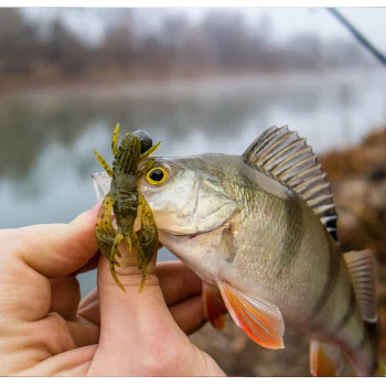 Силиконова примамка FISHUP Real Craw 2 inch