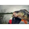 Силиконова примамка FISHUP Real Craw 1.5 inch
